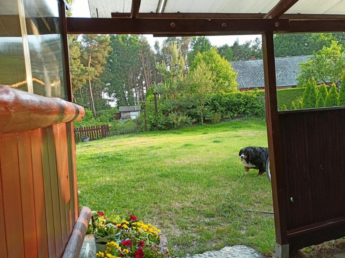 Solorena Junoszyno Dış mekan fotoğraf